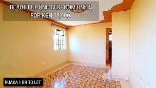 Ruaka affordable one bedroom apartment to let @18K per month | vacant 1 bedroom Ruaka house hunting