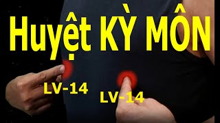 LV14 | Huyệt Kỳ môn | Kinh Túc quyết âm can | Acupoint VIKUDO