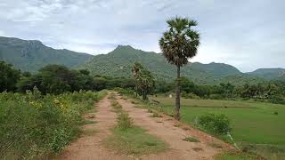 நீதிபுரம் ஏரி | Neethipuram Lake