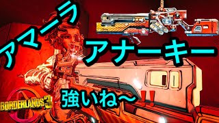 ボーダーランズ3   アマーラ　アナーキービルド　Borderlands 3