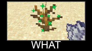 Minecraft WAIT WHAT meme #57