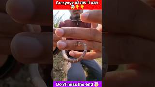 Cobra snake bites Amit Bhai🤯😱#shorts #youtubeshorts #viral #trending @CrazyXYZ