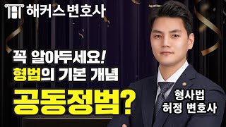 변호사시험에 딱 맞는 형법 기초 입문강의 - 공동정범 l 해커스변호사 허정