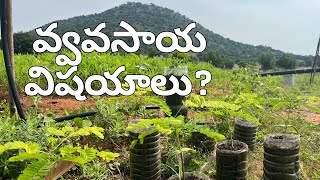 Farming లో కొత్త విషయాలు నాకు ఎలా తెలిసాయి?। Regenerative Agriculture in Telugu | Cut Version