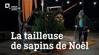 CIPI: La tailleuse de sapins