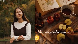 Slow and Quiet Autumn Living in English Countryside | Autumn Baking, Dark Academia, Lacock Abbey