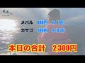 ホウボウ釣りに行ったら超巨大魚と遭遇した「船釣り」