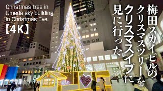 梅田スカイビルのクリスマスツリーを2021クリスマスイブに見に行った。【4K】Christmas tree in Umeda sky building in Christmas Eve.