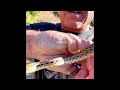 Robert F Kennedy Jr meets gopher snake