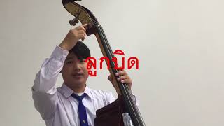 ดับเบิ้ลเบส(Double bass) สอนเบื้องต้น