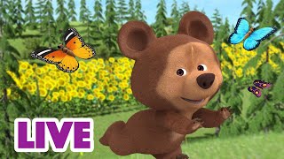 🔴 LIVE STREAM 🎬 Masha and the Bear 😊📅 Funny thursday 😊📅