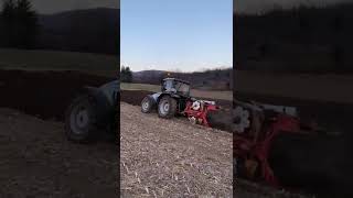 lamborghini grand prix plowing