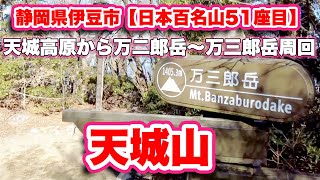 天城山/静岡県伊豆市【日本百名山51座目】天城高原から万二郎岳〜万三郎岳周回ルート【旅行VLOG】天城高原ハイカー専用駐車場,県道111号線,四つ辻,富士山,馬の背,アセビ,シャクナゲコース