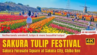 [4K] Sakura Tulip Festa : Chiba ken Sakurashi - 佐倉チューリップフェスタ2023年（千葉県佐倉市）