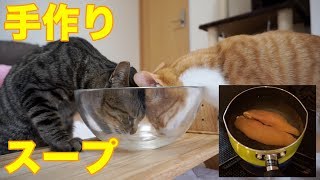 子猫大喜び！にゃんこ用ささみスープを作ってみた！（20180107)【すず/コテツ】