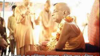 Prabhupada 0454 यदि हामीले आफ्नो दिव्यज्ञानलाई जगाउँदैनौं भने यो जीवन धेरै जोखिमपूर्ण हुन्छ