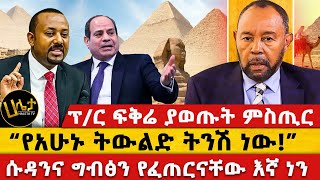 ፕ/ር ፍቅሬ ቶሎሳ ያወጡት ምስጢር | “የአሁኑ ትውልድ ትንሽ ነው!” | ሱዳንና ግብፅን የፈጠርናቸው እኛ ነን | Haleta Tv