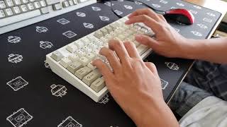 KBD8X MKII Keyboard Typing Demo (With Foam)