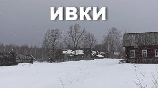 Нежилая деревня Ивки. Две улицы домов. Скотний двор.