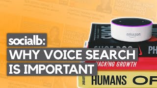 VOICE SEARCH: How and Why it's Important