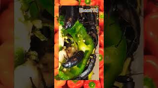 【Rango715】🪳🫑 Time Lapse of My Hissing Cockroaches 🪳eating tasty pepper #shorts #madagascar #roaches