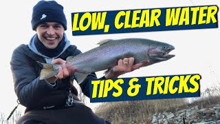 How to catch steelhead in LOW, CLEAR water!