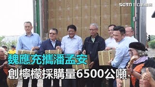 魏應充攜手屏東縣政府　創全台檸檬最大採購量6500公噸｜三立新聞網SETN.com