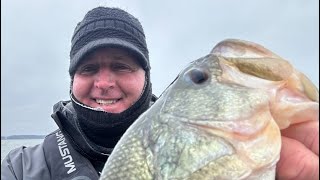 You Can’t Beat THESE 4 Lures For Cloudy Day Bass Fishing