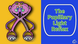 The Pupillary Light Reflex