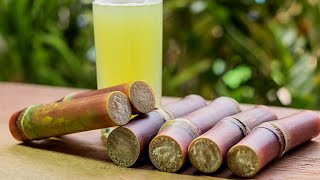 നല്ല നടൻ കറുത്ത കരിമ്പ് |#shortsfeed #sugarcane #YouTube video #food