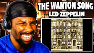 The Wanton Song - Led Zeppelin (Reaction)