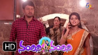 Nandini Vs Nandini - 11th July 2016 -  నందిని Vs నందిని - Full Episode 163