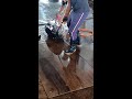 Superb Giant Bluefin Tuna Cutting Skill