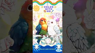 02_Relax And Unwind! color with me #shorts #coloring