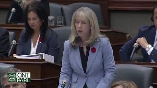 Minister Fullerton discusses Runnymede Healthcare Centre at Queen's Park