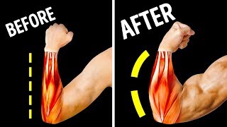 Only 14 Exercises You Need for Bigger Forearms