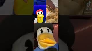 El Ducky reacting to himself