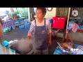 อร่อยใกล้วัด ep.1 ก๋วยเตี๋ยวหมูย่าเต่า บรรยากาศริมน้ำ หลังตลาดหัวรอ อยุธยา อยุธยา nopนพพลสตอรี่