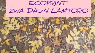 ECOPRINT || PEWARNA ALAM || ZWA DAUN LAMTORO