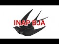 INAP BJA