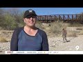 bringing the rillito river back to life volunteers remove invasive plants and trash