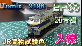 EF66　20号機貨物試験色　入線（Nゲージ）