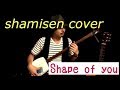 Ed sheeran -Shape of you cover Shamisen player 