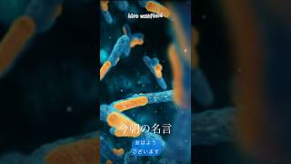 【今朝の名言：毎朝７時発信中】おはようございます！今朝の名言です！あなたの心に名言のビタミンを🍀🌸🌿🪴⭐️#人生訓#名言#格言#心#生き方#幸福#感動#魂