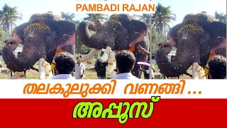 Pambadi rajan തലകുലുക്കി  തൊഴുതു വണങ്ങി  അപ്പൂസ്