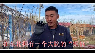 2022 第343期 在东北置办了两个大院子，一个1000平，一个2000平，吐槽烦恼太多