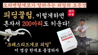 크레스티드게코의 먹이, 슈퍼푸드주는 방법. 피딩의 정석