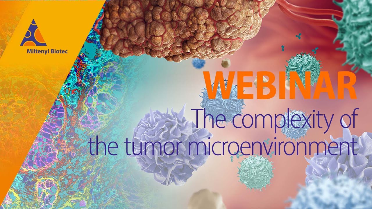 A Guide To Mapping The Complexity Of The Tumor Microenvironment ...