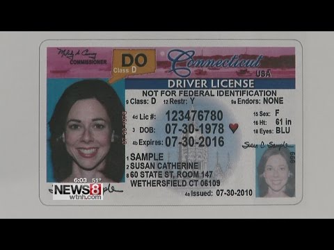 Undocument immigrants can now sign up for CT driver's licenses Undocument immigrants can now sign up for CT driver's licenses