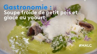 Gastronomie : soupe froide de petit pois et glace au yaourt